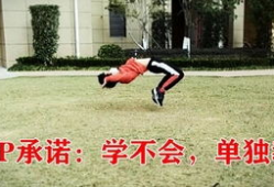 鲤鱼打挺视频,揭秘传统武术中的柔韧与力量之美