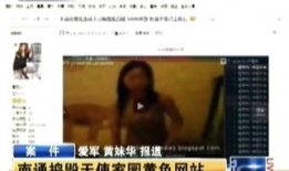 谁有黄色视频,揭秘网络黄色视频传播现状及治理对策
