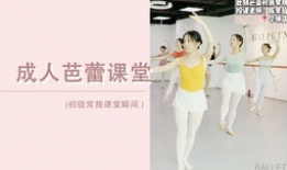 美女操视频,美女操视频带你领略健康魅力