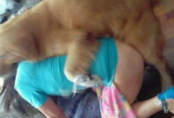 动物和人交配视频,探索自然与伦理的边界