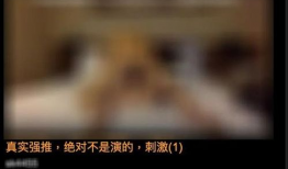 谁有黄色视频,揭秘网络黄色视频传播现状及治理对策