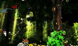 森林视频,探秘大自然的绿色王国