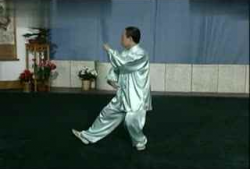 太极视频,视频中的动静相生与阴阳平衡