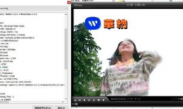 你懂的福利视频,带你领略视觉盛宴与心灵震撼