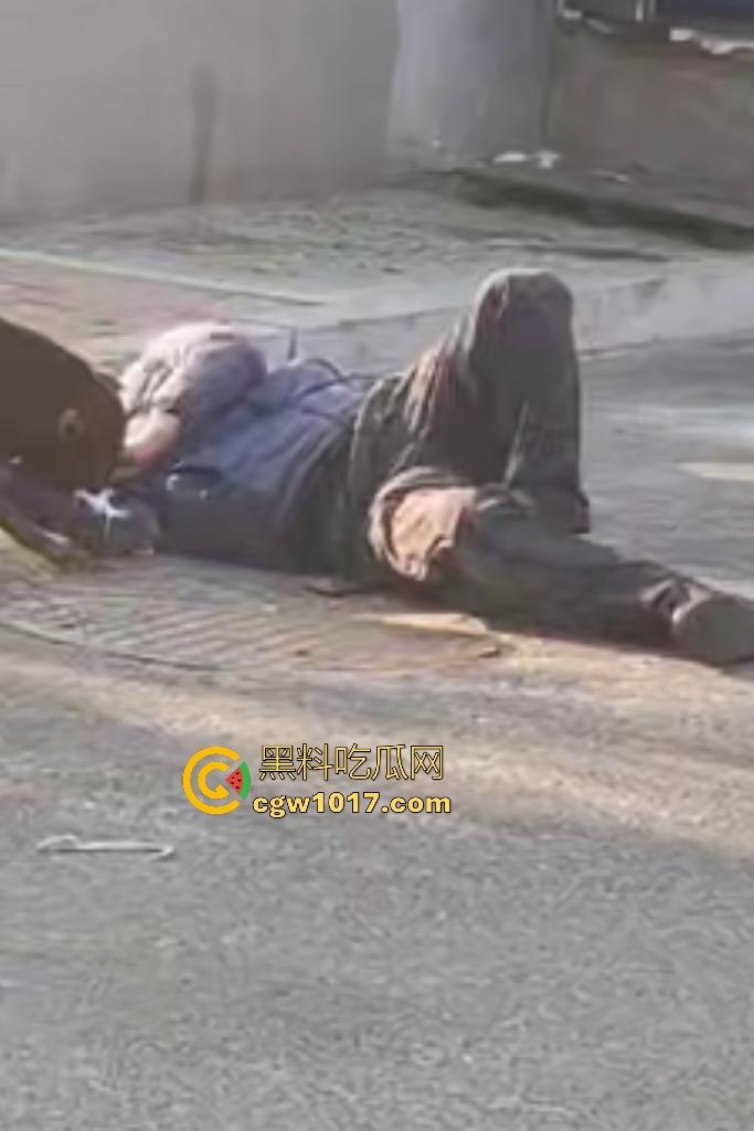 大爷手贱开狗笼被比特犬当场反咬！女主人抱不住狗，大妈大爷拿棍子打像挠痒，比特犬得配上香料才安抚大爷的心！-5