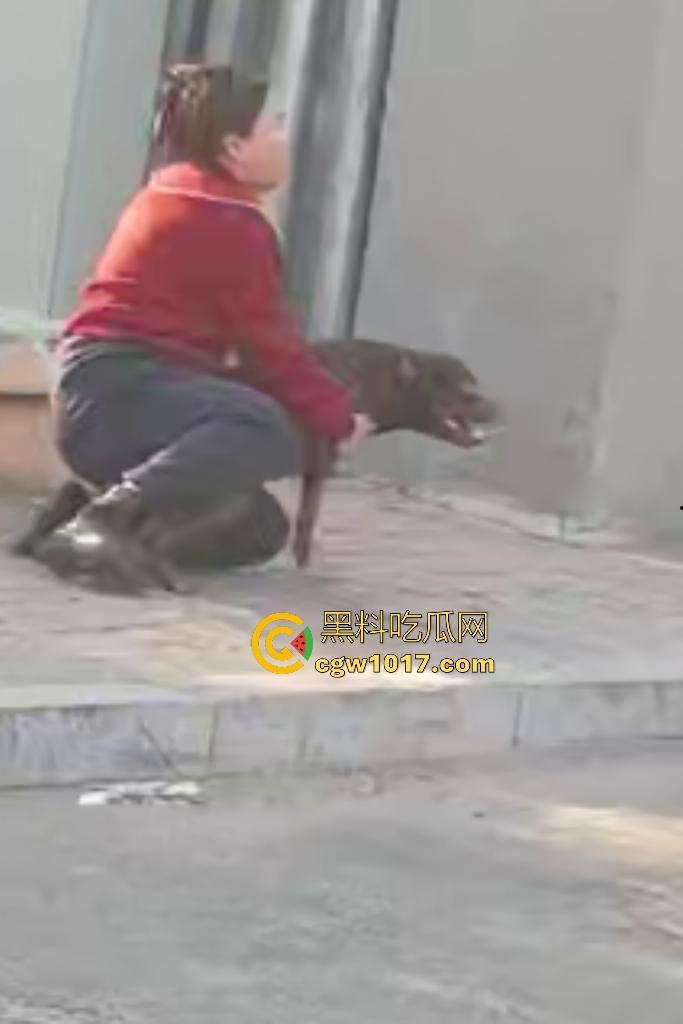 大爷手贱开狗笼被比特犬当场反咬！女主人抱不住狗，大妈大爷拿棍子打像挠痒，比特犬得配上香料才安抚大爷的心！-6
